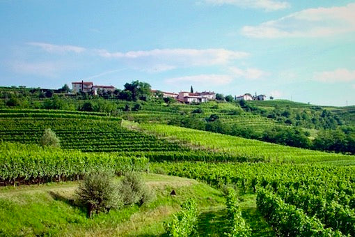 Winemakers: Constantini