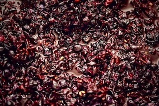 From Vine to Wine: How to Make Wine at Home