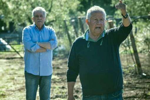 Olive Oil Producers: Tamia