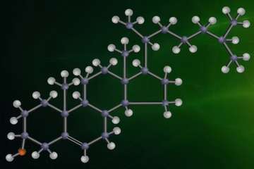Olive Oil and Cholesterol Management