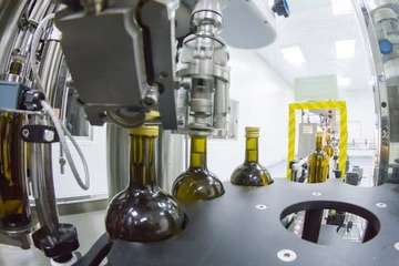 The Future of Olive Oil Production: Sustainability and Innovation