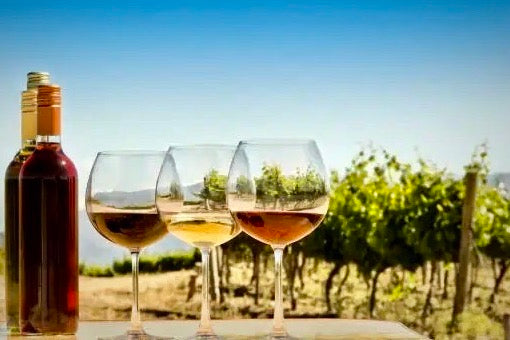 The Role of Terroir in Wine Quality